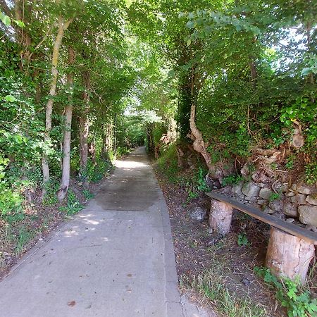 Casa Rural Los Rubios Elcarte ภายนอก รูปภาพ